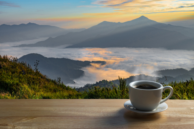 The Taste of Misty Mountain Coffee | Shutterstock