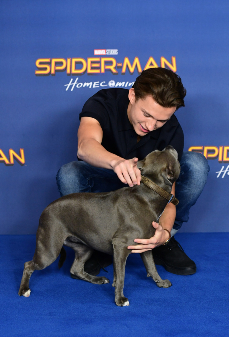 These Celebrity-Owned Pets Have Better Lives Than Most Humans – Page 21