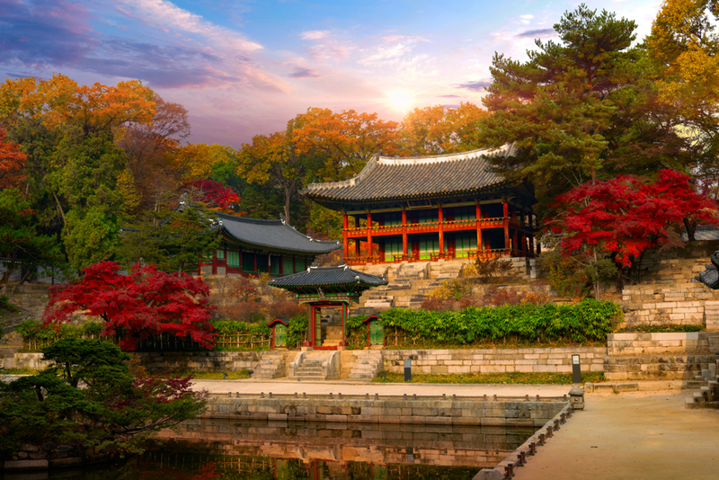 A Day in Seoul  | Shutterstock