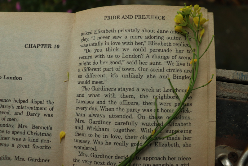 Pride and Prejudice, Jane Austen | Shutterstock