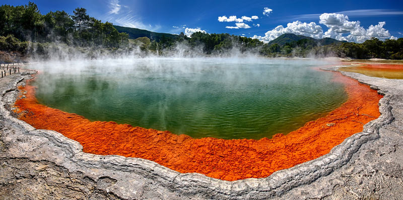 The Best Day Trips Near Auckland, New Zealand | Shutterstock