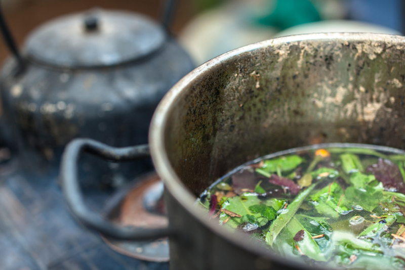 Rapé: An Ancient Healing Amazonian Medicine | Shutterstock