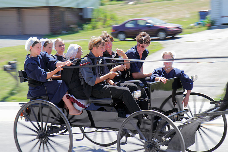 Fascinating Facts You Never Knew About the Amish