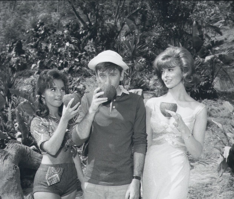 Little Known Facts About The Making Of The Show “Gilligan’s Island”