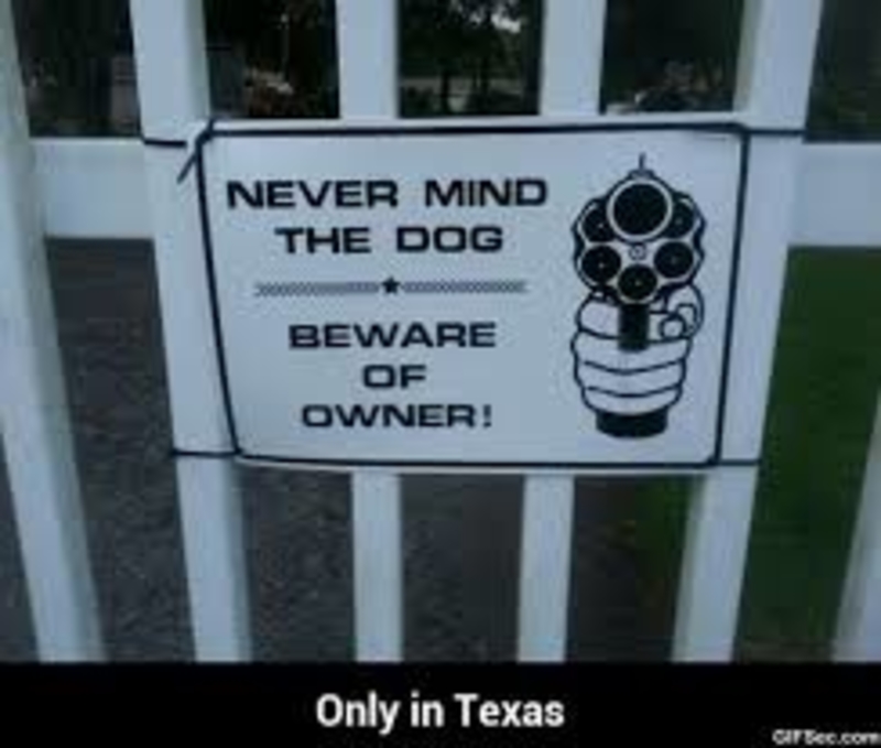 You never be a only. Never Mind the Dog Beware the. Never Mind the Dog.