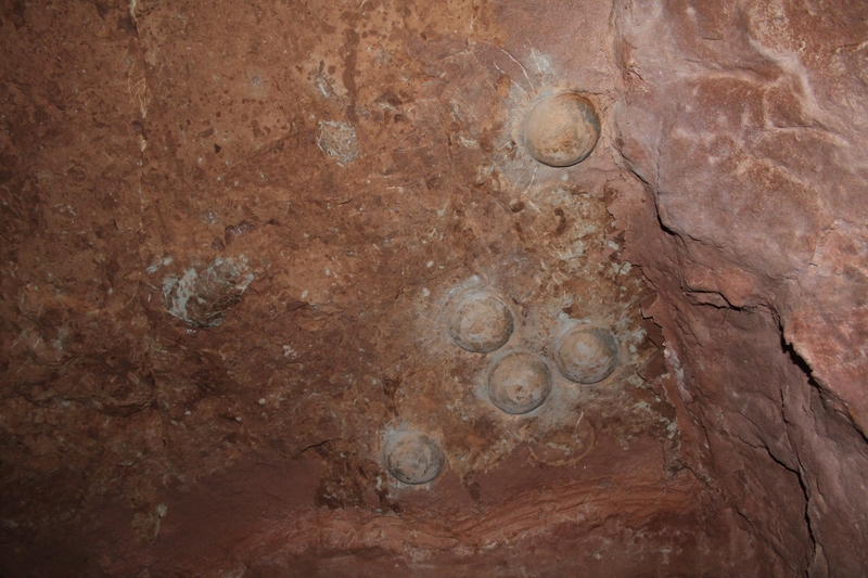 New Dinosaur Discoveries: Eggs, Embryos, Teeth, and Much More | 