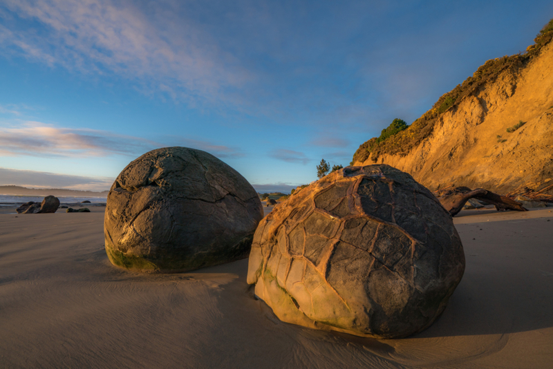 New Dinosaur Discoveries: Eggs, Embryos, Teeth, and Much More | Getty Images Photo by CK NG / 500px