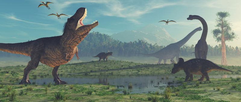 New Dinosaur Discoveries: Eggs, Embryos, Teeth, and Much More | Shutterstock