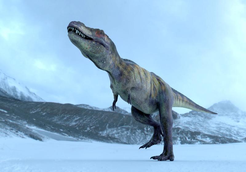 New Dinosaur Discoveries: Eggs, Embryos, Teeth, and Much More | Shutterstock