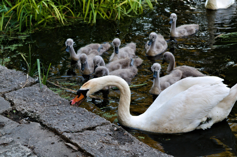 And That's the Riverbank | Alamy Stock Photo by Dominik Czajka