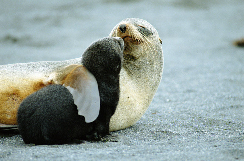 The Warmest of Hugs | Getty Images Photo by Johnny Johnson