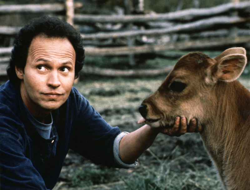 City Slickers (Ron Underwood, 1991) | Alamy Stock Photo by Impress/United Archives GmbH 