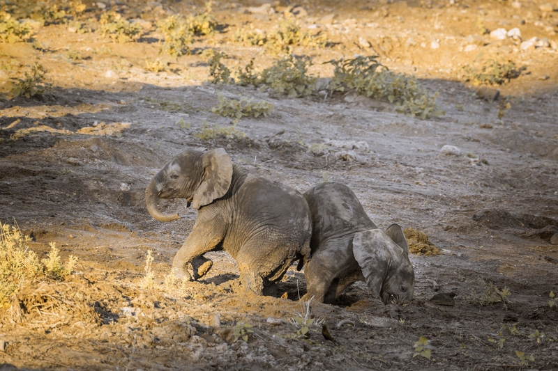 Mom Said It's My Turn in the Mud Pit | Alamy Stock Photo by CORREIA Patrice