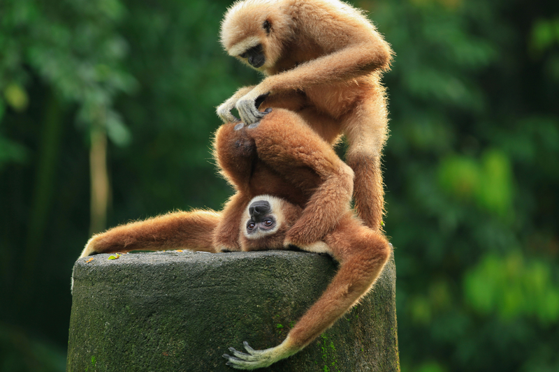 It's a Dirty Job, but Somebody's Gotta do It | Getty Images Photo by Khairel Anuar Che Ani/EyeEm