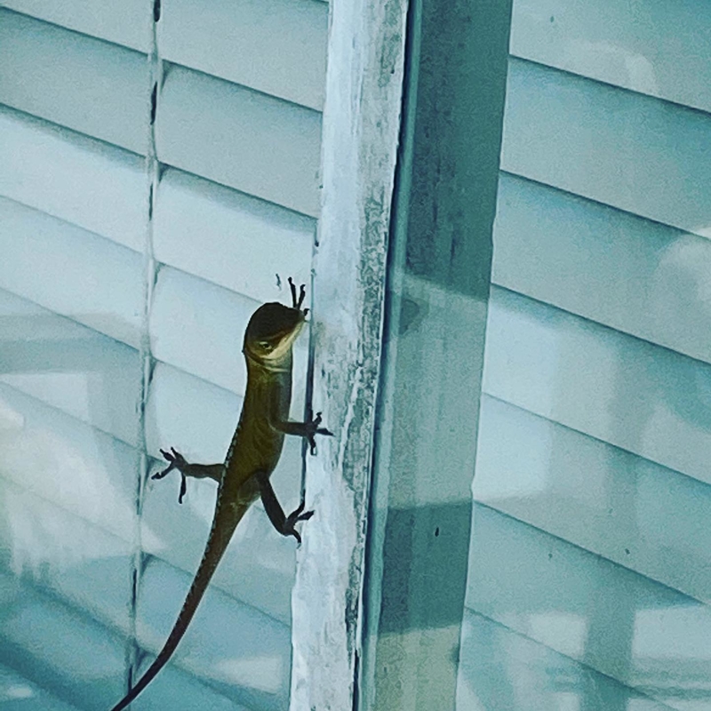 Just Trying to Climb Here, Buddy | Instagram/@sarahsquishybunny