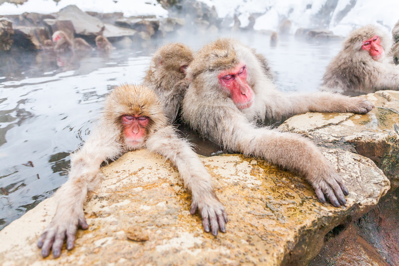 Enjoying the Heat | Getty Images Photo by VittoriaChe