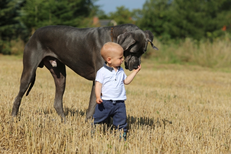 Walk the Walk | Alamy Stock Photo