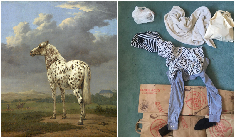 The Essence of It | Piebald Horse by Paulus Potter/Alamy Stock Photo & Twitter/@GettyMuseum
