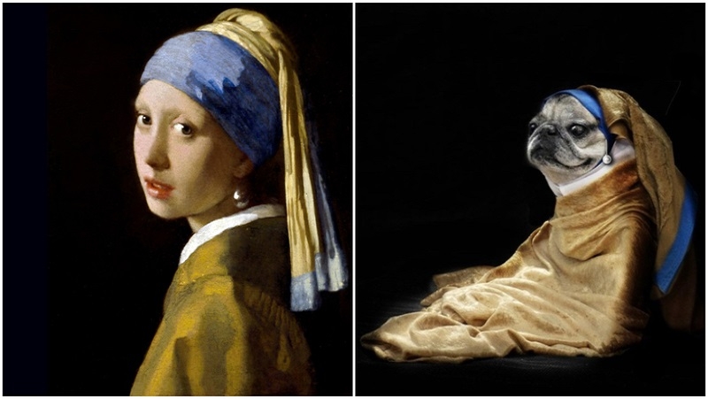 Pug With a Pearl Earring | Girl with Pearl Earring by Johannes Vermeer/Alamy Stock Photo & Twitter/@rmrphoto