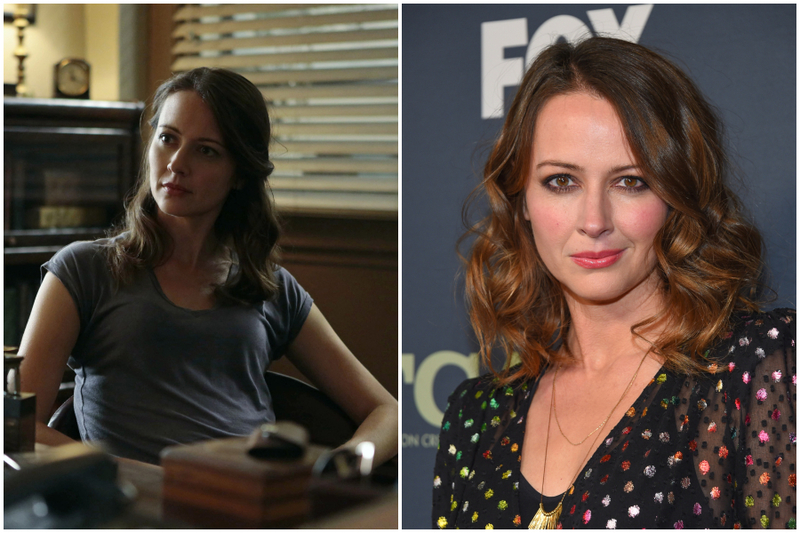 Amy Acker – Person of Interest | MovieStillsDB & Shutterstock