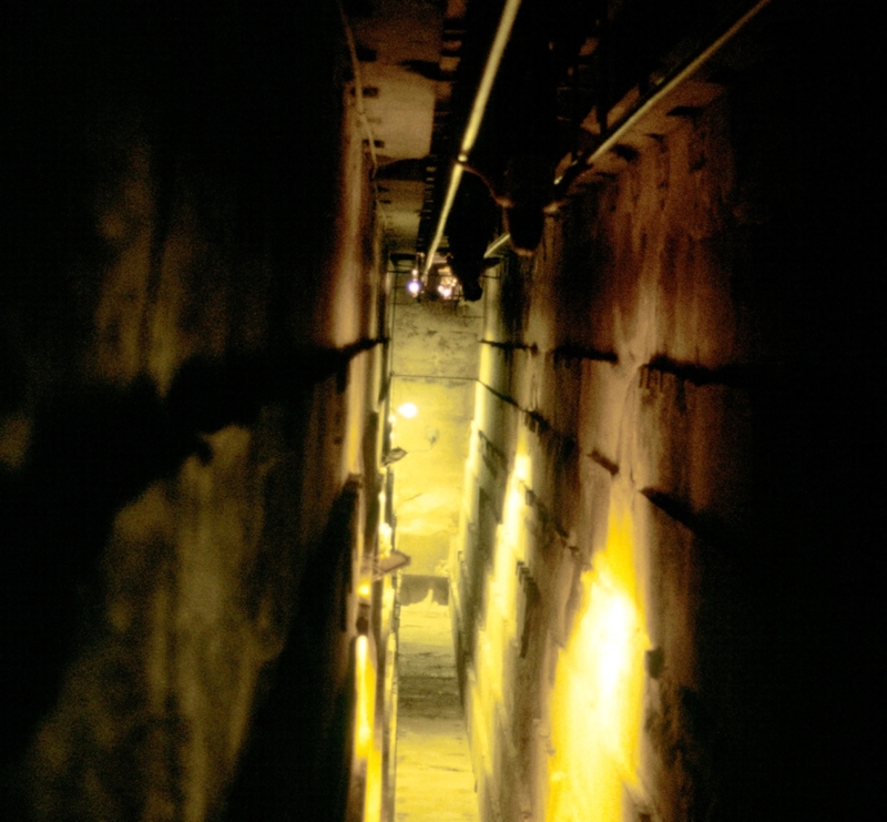 The Temperature Inside the Pyramids | Getty Images Photo by Ann Ronan Pictures/Print Collector