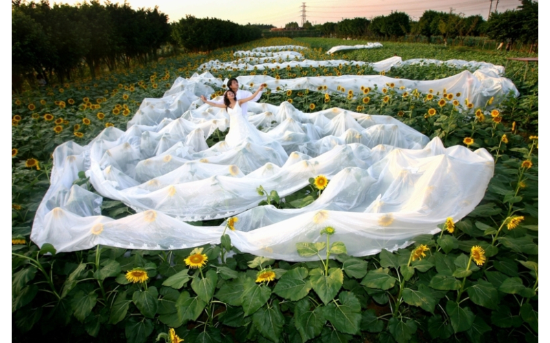 All Corners of the Globe | Getty Images Photo by Zhang Weiqing/Visual China Group 