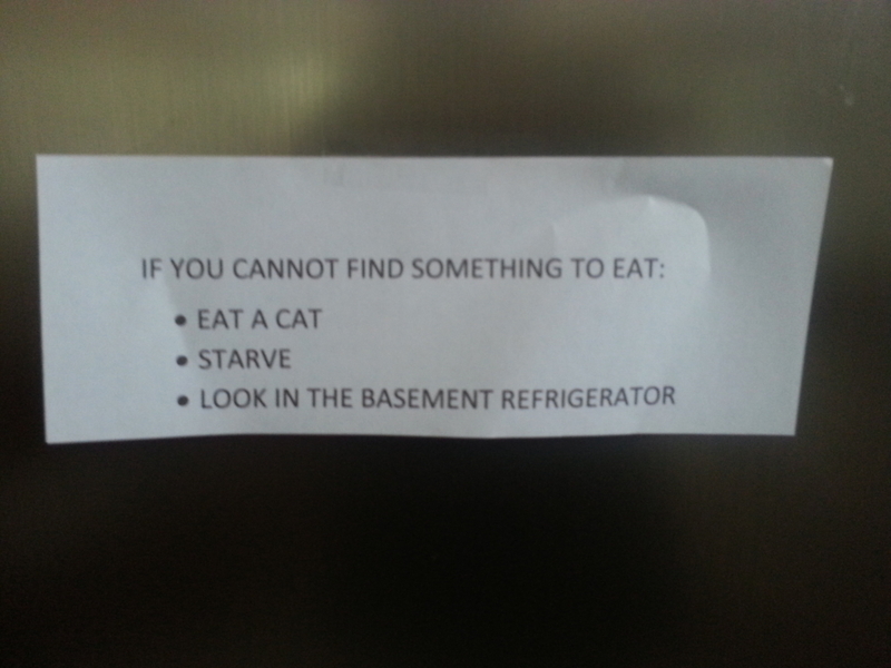 Eat A Cat Or Starve | Imgur.com/chelseadamnit