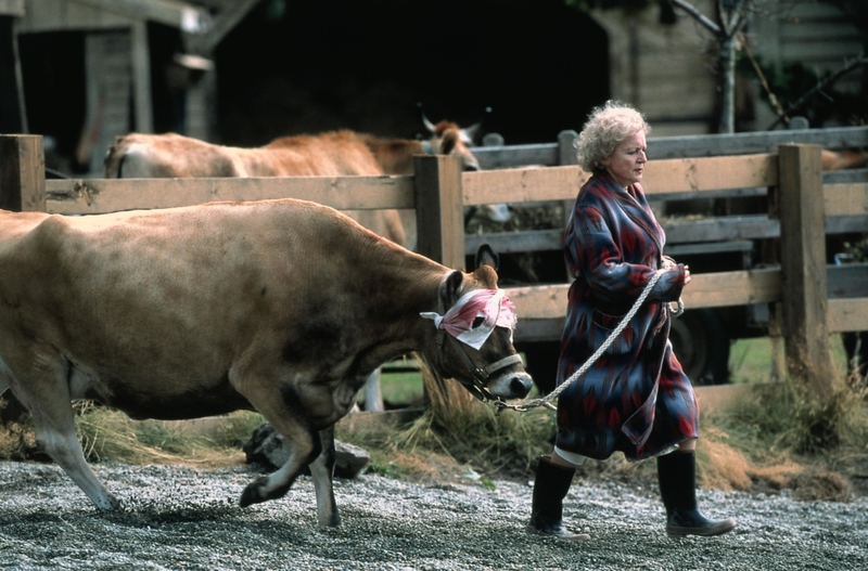 Betty White's Dream Job | Alamy Stock Photo