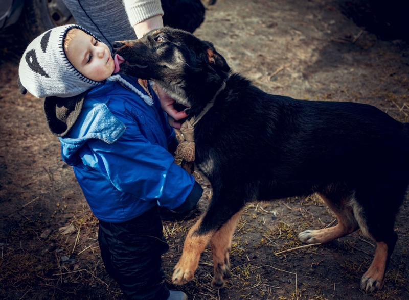 Puppy and Baby Besties  | Alamy Stock Photo