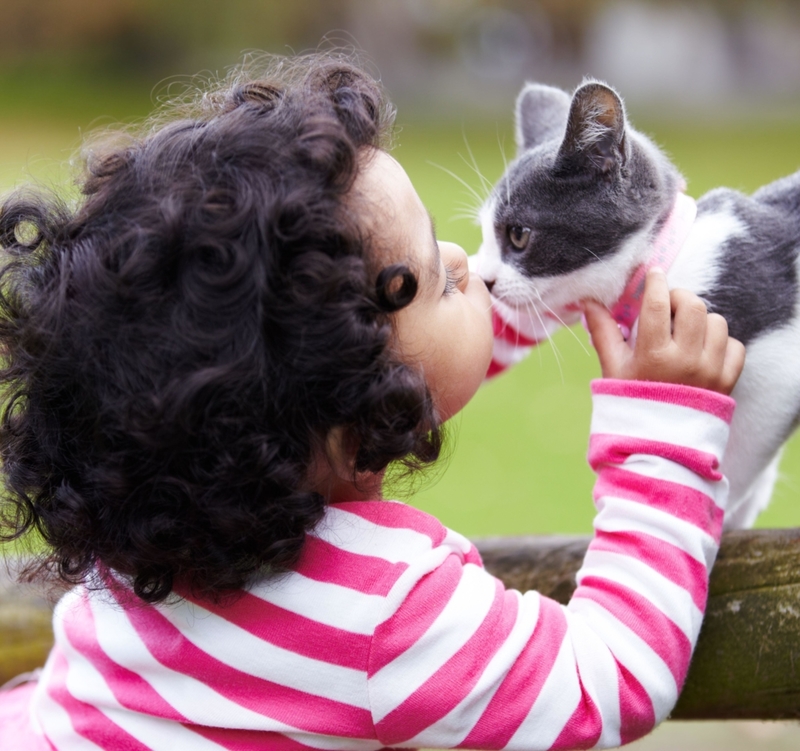 Save All Your Kisses for Me | Alamy Stock Photo