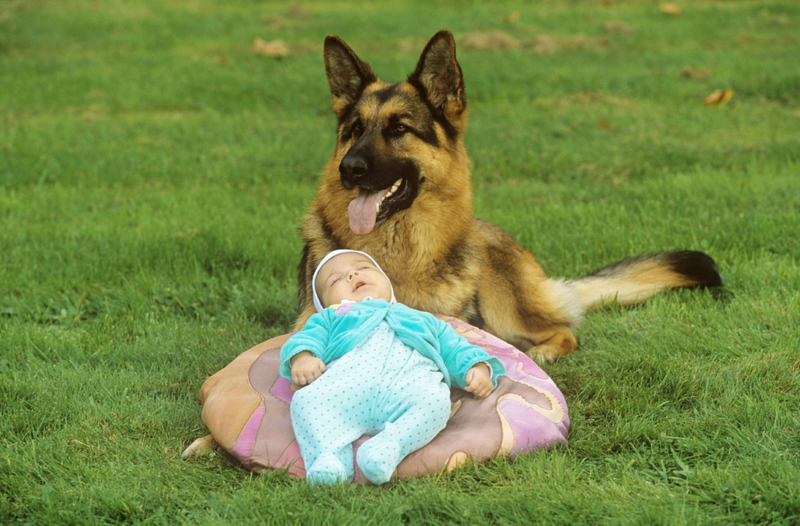 Unlikely Playmates | Alamy Stock Photo