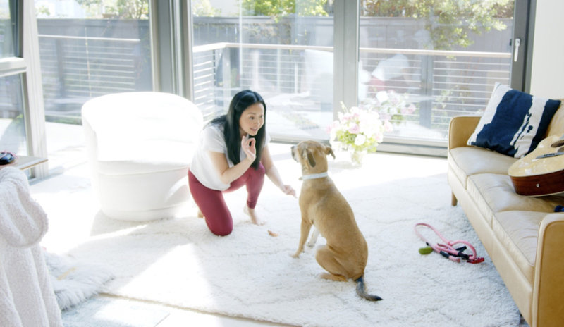 Lana Condor: Emmy | Getty Images Photo by Staff/Amazon Pets + Amazon Treasure Truck