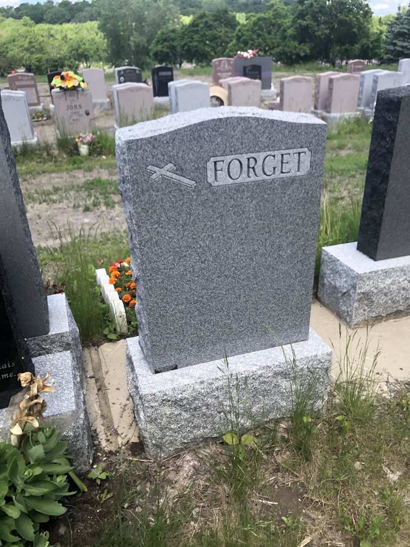 Forget What? | Reddit.com/lancea_longini