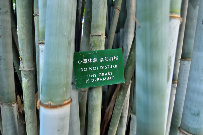 Dulces sueños | Getty Images Photo by Nicole Gilbo