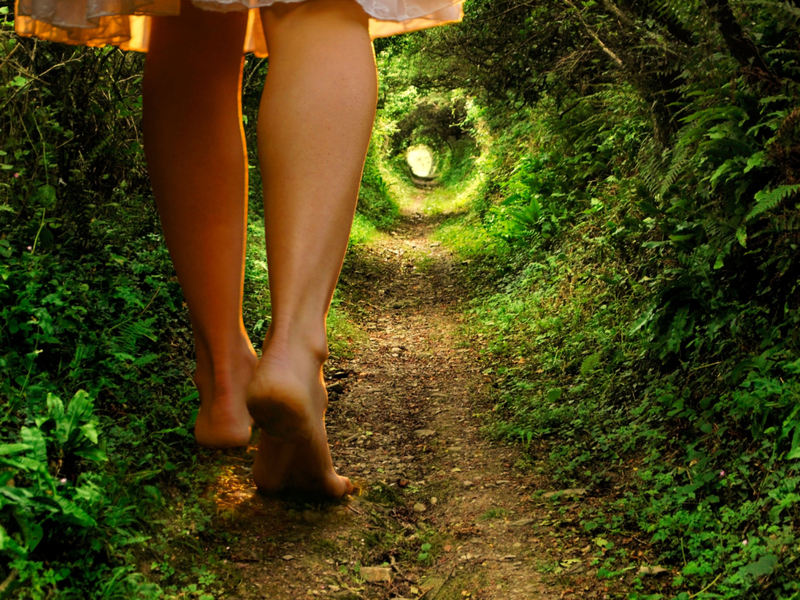 Going Down Rabbit Holes | Alamy Stock Photo