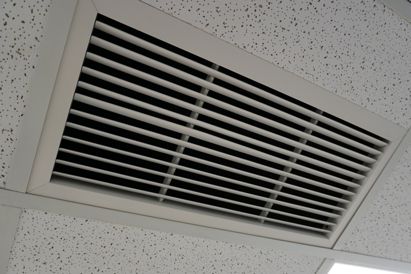 Clean the AC Vents in the Dishwasher | Getty Images Photo by Douglas Sacha