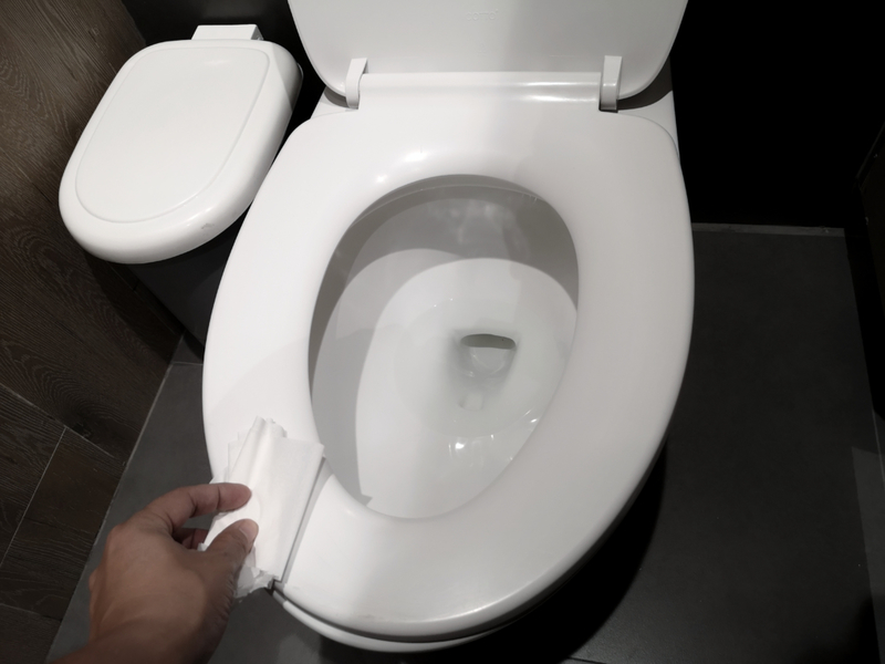 Flush It Away | Kitawit Jitaton/Shutterstock