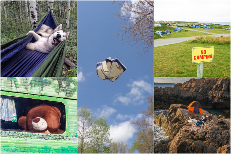 Imperdibles fotos de campamento que te alegrarán el día | Imgur.com/Zenaxic & Bigtex44 & Alamy Stock Photo