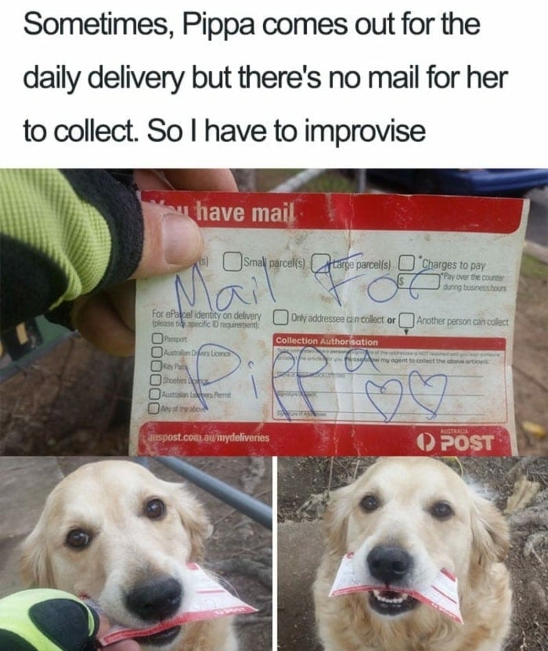 Good Girl Pippa | Imgur.com/UpliftingCrusader