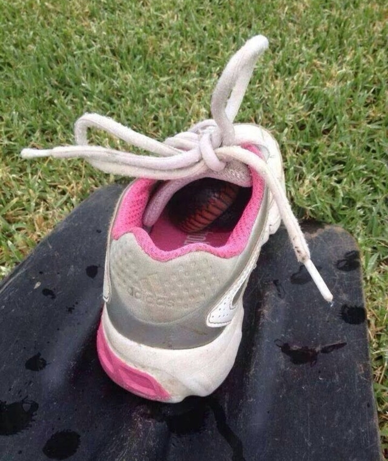 Check Your Shoes | Imgur.com/K5pyr4T