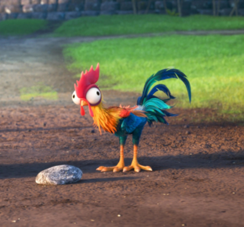 All Hail Hei Hei | Alamy Stock Photo