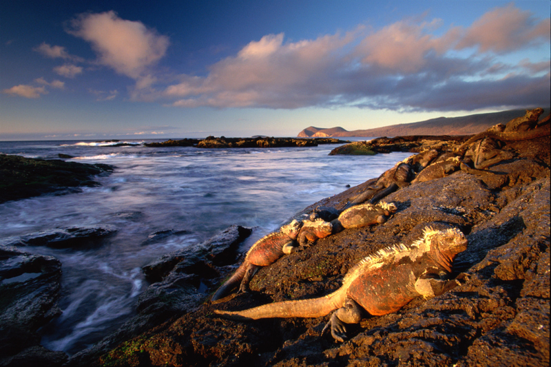 Galápagos Islands, Ecuador | Getty Images Photo By Art Wolfe