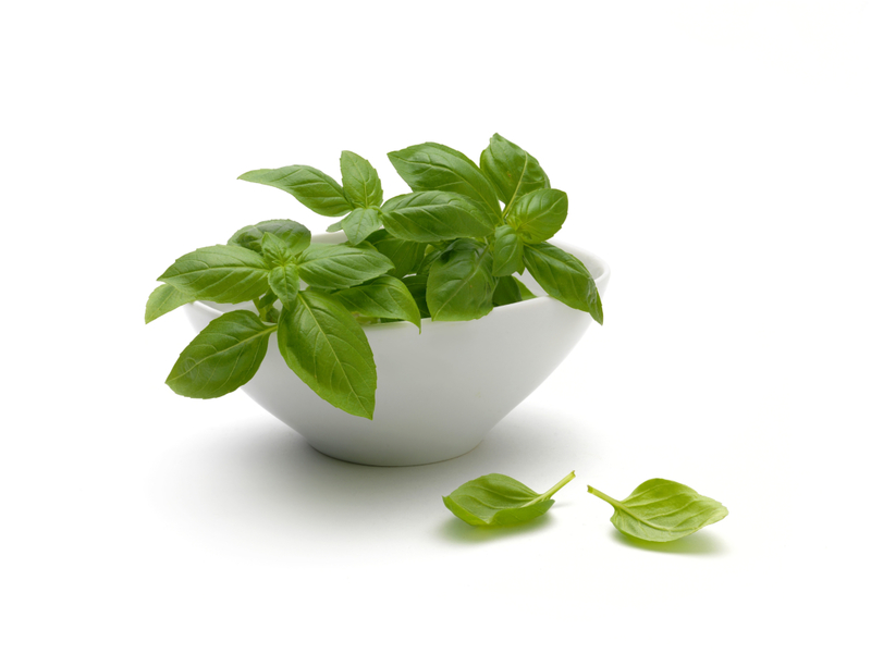 Basil | Alamy Stock Photo