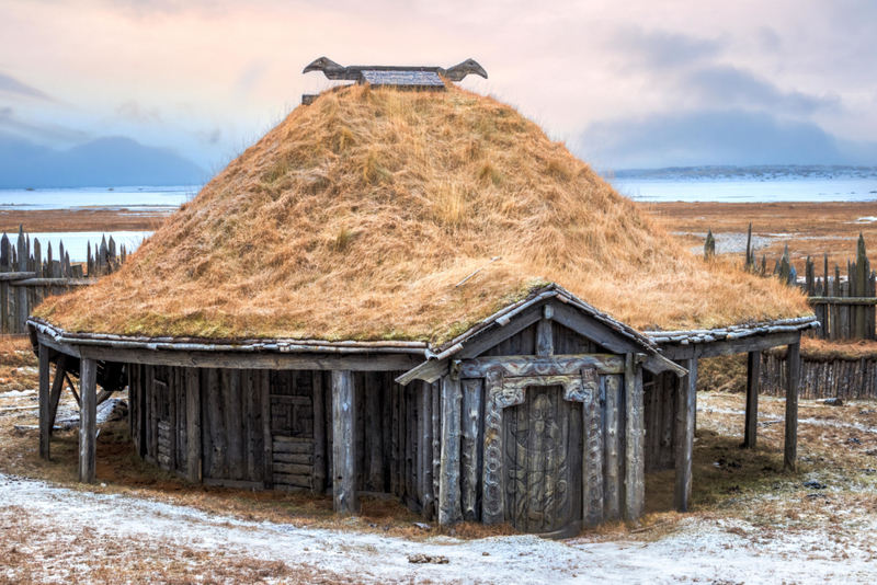 Viking Lineage | Alamy Stock Photo by MIHAI ANDRITOIU