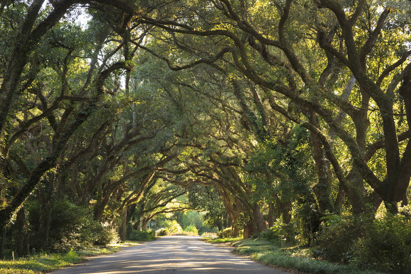 Tuskegee, Alabama | Getty Image Photo By Jon Lovette