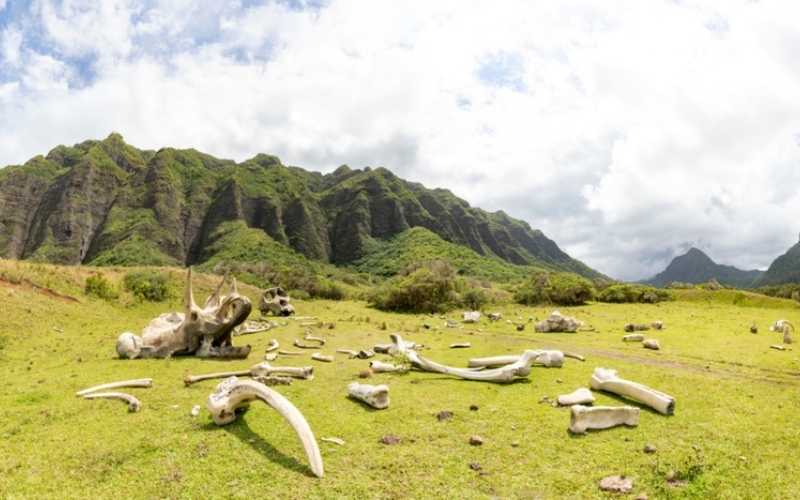 Jurassic Park, Hawaii | Alamy Stock Photo by James Smith