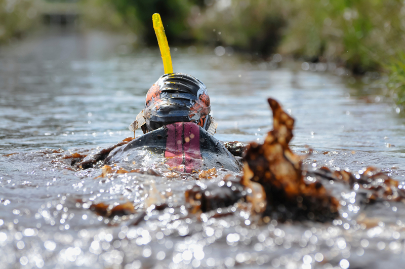 Bog Snorkelling | Shutterstock