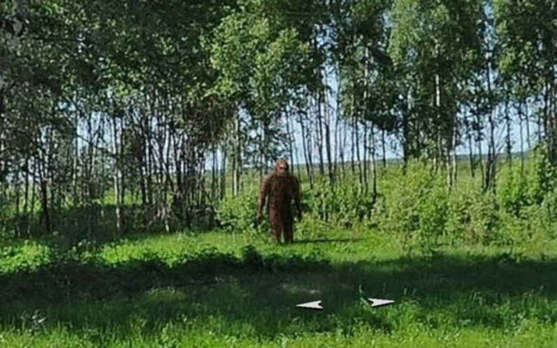 Is That BigFoot? | Imgur.com/gg1Ov0P via Google Street View