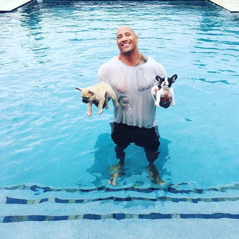 A Dog Lover | Instagram/@therock