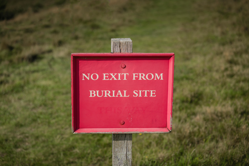 Literate Zombies | Alamy Stock Photo by STEPHEN FLEMING